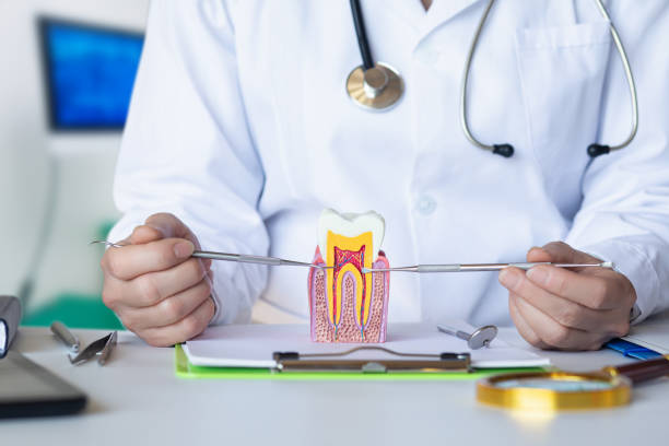 Best Emergency Treatment for Toothache in Calvert, TX